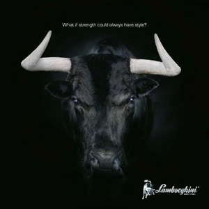 Traktory 4WD Lamborghini Nitro 120 VRT DT