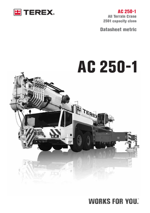 Univerzální terénní jeřáby Terex-Demag AC 250-1 (12x8x10)