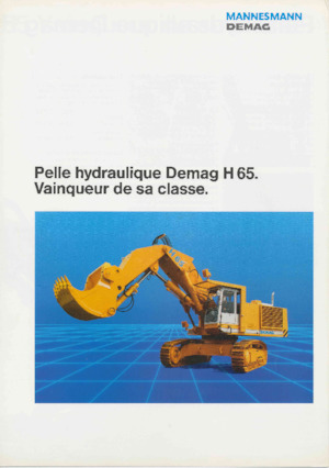 Pásová rypadla Demag H 65