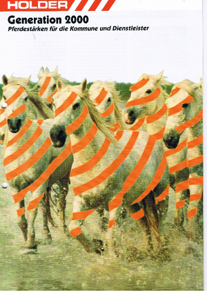 Komunální multifunkční naftová vozidla Holder C 220