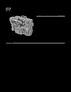 Motory Caterpillar C18 Acert