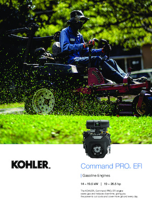 Motory Rehlko ECH749