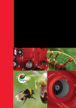 Motory Cummins ISB4.5