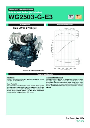 Motory Kubota WG2503-G-E3