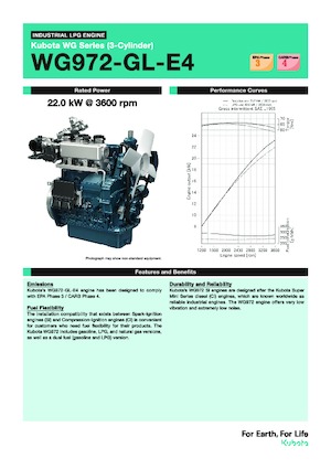 Motory Kubota WG972-GL-E4
