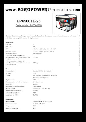 Benzínové elektrocentrály Europower EP6500TE-25 (S)