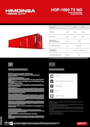 Benzínové elektrocentrály HIMOINSA HGP-1000 T5 NG