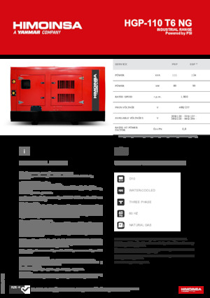 Benzínové elektrocentrály HIMOINSA HGP-110 T6 NG