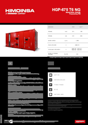 Benzínové elektrocentrály HIMOINSA HGP-675 T6 NG