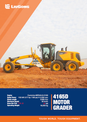 Grejdry Liugong 4165D