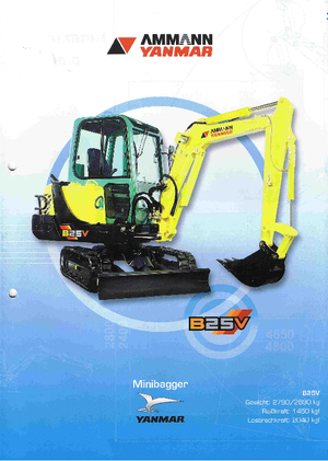 Minirypadla Yanmar B 25 V