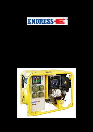 Benzínové elektrocentrály Endress ESE 604 DHG ES DIN
