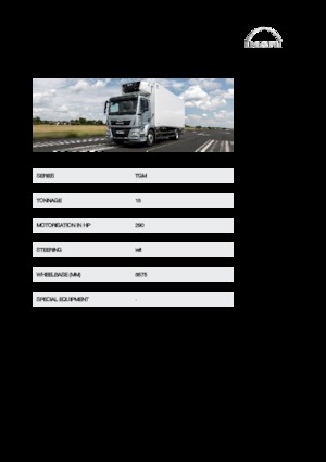Tuhé podvozky MAN TGM 15.290 4x2
