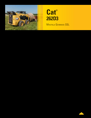 Smykem řízené nakladače Caterpillar 262D Series 3