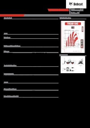 Teleskopické nakladače s horní konstrukcí Bobcat TR38160EVO IIIB