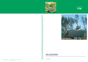 Lesnické jeřáby Guerra 77 AY 1