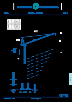Věžové výkyvné jeřáby s horní otočí Comansa LCL 310
