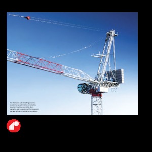 Věžové výkyvné jeřáby s horní otočí Raimondi LR273