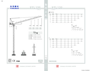Věžové výkyvné jeřáby s horní otočí Yongmao STL120
