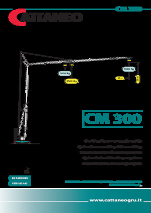 Věžové trolejové jeřáby se spodní otočí Cattaneo CM 300