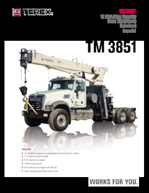 Autojeřáby TEREX CRANES TM 3851