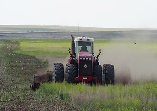 Diskové podmítače Amazone Catros 6002-2