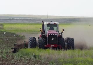 Diskové podmítače Amazone Catros+ 6002-2