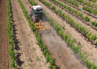 Diskové podmítače Agrisem Disc-o-Vigne V