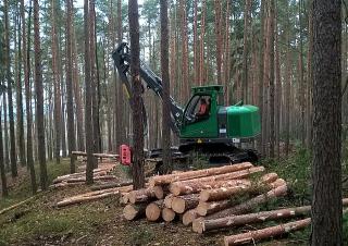 Lesní technika Harvestory Neuson Forest 104HVT