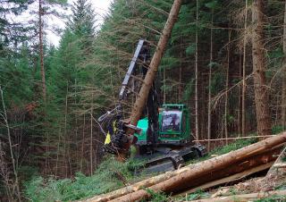 Lesní technika Harvestory Neuson Forest 243HVT