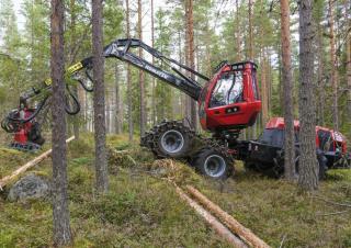 Lesní technika Harvestory Komatsu 901