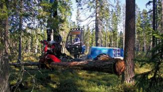Lesní technika Harvestory Rottne H 11