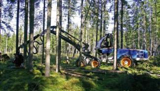 Lesní technika Harvestory Rottne H 11