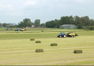 Lisy na hranolové balíky + Lisy na obří balíky New Holland BB 1290 S