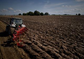 Pluhy Maschio Unico L 4E