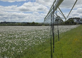 Zavlažovací technologie Ramena pro postřikovače Bauer Irrigation Centerstar 203E