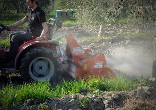Rotační brány Maschio W 145