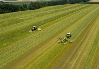 Rotační shrnovače Claas Liner 4800 Trend 