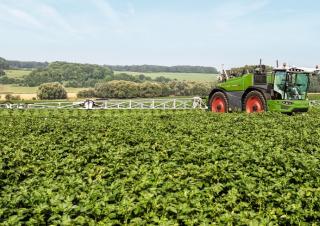 Samojízdné postřikovače Fendt Rogator 645