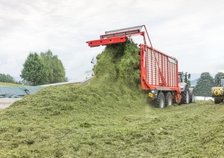 Silážní přívěsy Pöttinger Jumbo 6020 L