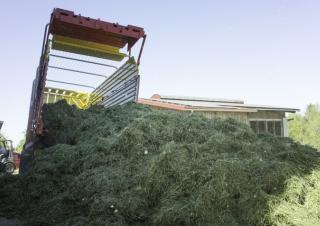 Silážní přívěsy Pöttinger Primo 801 L