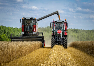 Sklízecí mlátičky Massey Ferguson Activa 7343