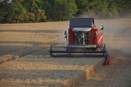 Sklízecí mlátičky Massey Ferguson Activa 7345 S