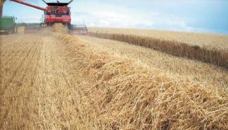 Sklízecí mlátičky Case IH Axial Flow 8120