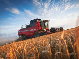 Sklízecí mlátičky Massey Ferguson Beta 7370 PL