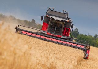 Sklízecí mlátičky Massey Ferguson Beta 7360 PLI