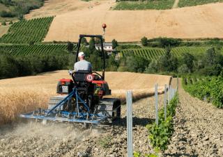 Sklízecí mlátičky DEUTZ-FAHR C 7206 TS Farmline Extra Power