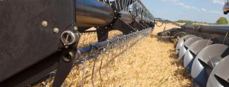 Sklízecí mlátičky Massey Ferguson Centora 7382 AL