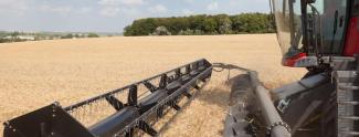 Sklízecí mlátičky Massey Ferguson Centora 7382 AL