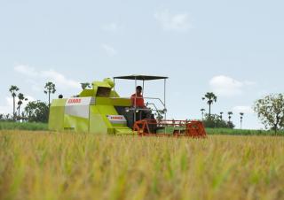 Sklízecí mlátičky Claas Crop Tiger 30 Terra Trac